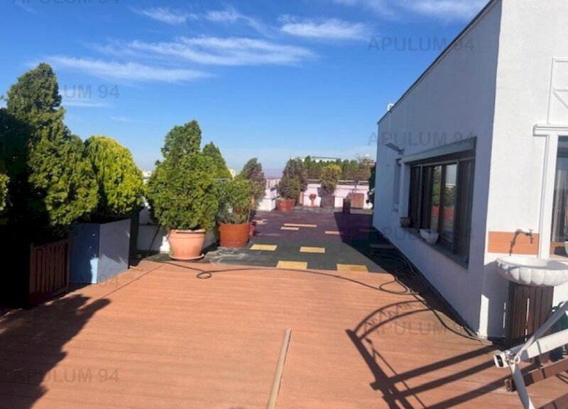 Penthouse Titan- Baba Novac.